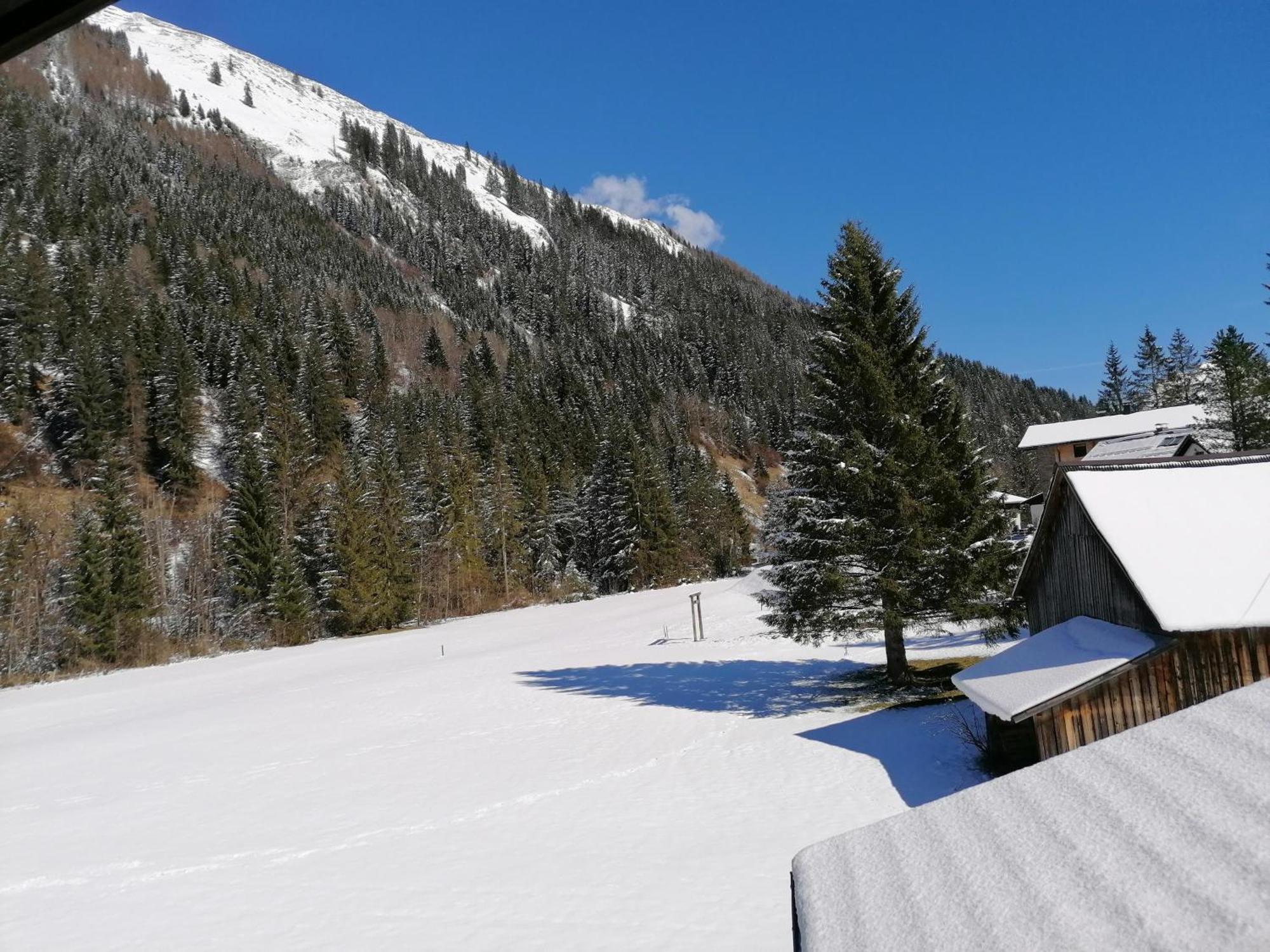 Haus Sprenger Apartman Häselgehr Szoba fotó